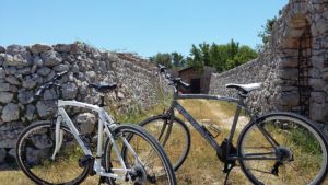 noleggio bici